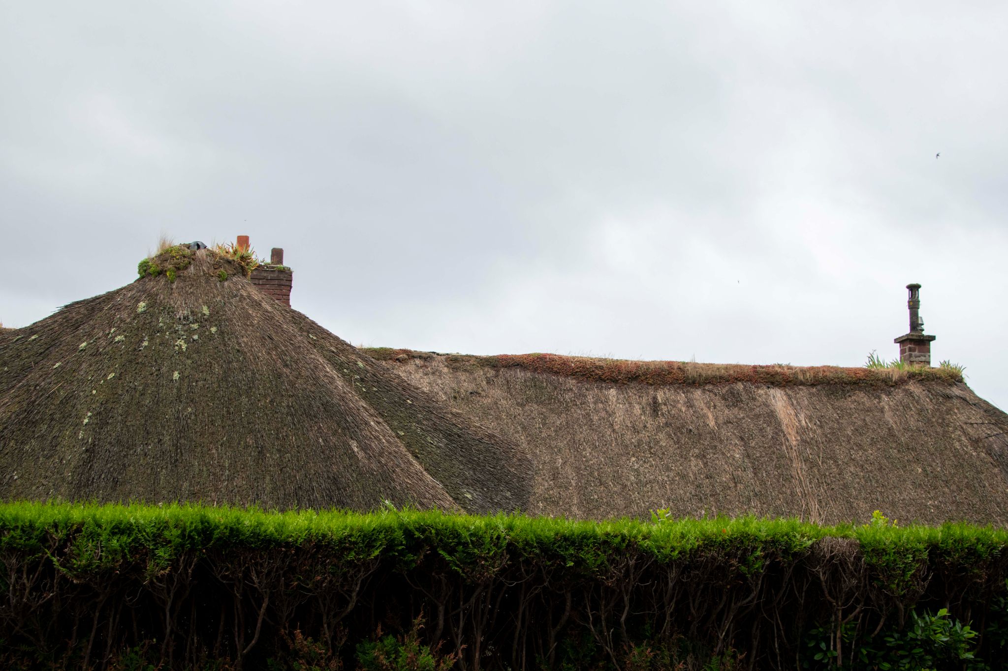 Normandy 2026 117